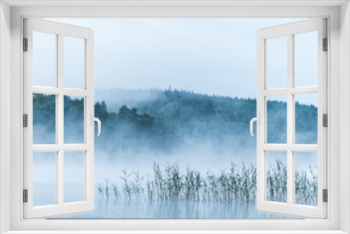 Fototapeta Naklejka Na Ścianę Okno 3D - Misty lake with reeds, Sweden