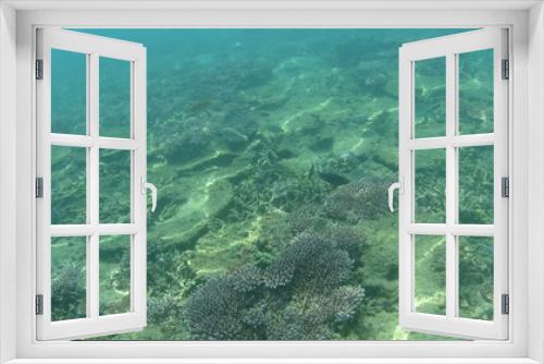 Fototapeta Naklejka Na Ścianę Okno 3D - マレーシア　ティオマン島の海