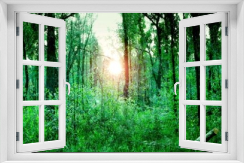 Fototapeta Naklejka Na Ścianę Okno 3D - abstract green background