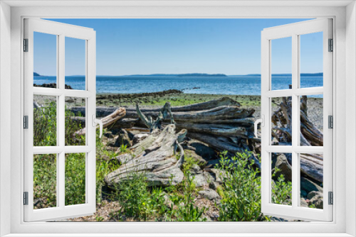 Fototapeta Naklejka Na Ścianę Okno 3D - Shoreline Driftwood Pile 3
