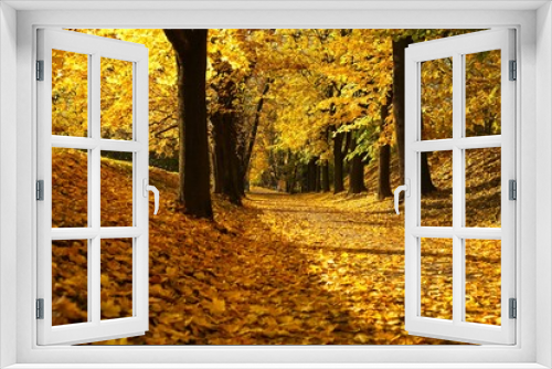 Fototapeta Naklejka Na Ścianę Okno 3D - autumn trees in the park