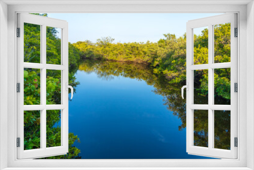 Fototapeta Naklejka Na Ścianę Okno 3D - View of the channel among thickets of swamps in Pelican Island National Wildlife Refuge, Florida. Beautiful Place for seeing native bird habitats, hiking trails and tours