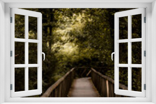 Fototapeta Naklejka Na Ścianę Okno 3D - Puente de madera cruzando por medio de un bosque