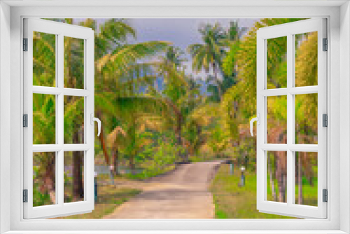 Fototapeta Naklejka Na Ścianę Okno 3D - A path in the jungle among beautiful palm trees. Travel and tourism in Asia.