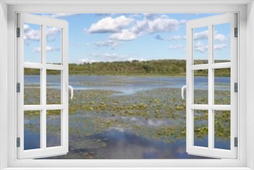 Fototapeta Naklejka Na Ścianę Okno 3D - water landscape wetland with lily pad swamp large panoramic marsh in Danville Quebec Canada