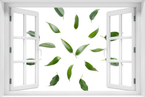 Fototapeta Naklejka Na Ścianę Okno 3D - Green tea leaves on white background
