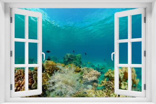 Fototapeta Naklejka Na Ścianę Okno 3D - Tropical fishes and coral reef underwater. Hard and soft corals, underwater landscape. Travel vacation concept. Philippines.