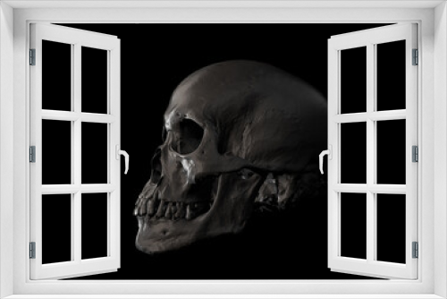 Fototapeta Naklejka Na Ścianę Okno 3D - Human skull in profile face a black background. Concept art, death, horror for print, poster. Symbol of spooky Halloween, immortal, pirate. 3d rendering illustration. Graphic Design