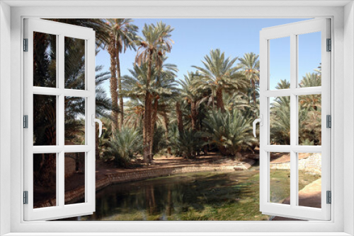 Fototapeta Naklejka Na Ścianę Okno 3D - Palm grove of tafilalet in morocco