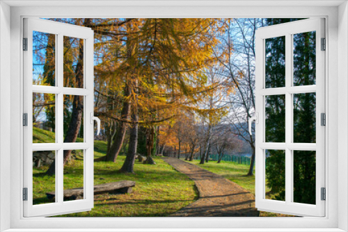 Fototapeta Naklejka Na Ścianę Okno 3D - Autumn in a landscape park. Trees and bushes in golden attire.