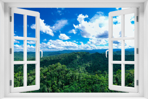 Fototapeta Naklejka Na Ścianę Okno 3D - Aerial panorama, a lush background of a tropical forest with a bright sky and clouds casting their shadow over the green tree canopy
