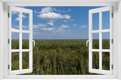 Fototapeta Naklejka Na Ścianę Okno 3D - Aerial Forest View In The Summer