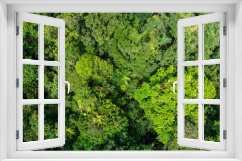 Fototapeta Naklejka Na Ścianę Okno 3D - Aerial Photo of Tropical Rainforest Canopy North Queensland