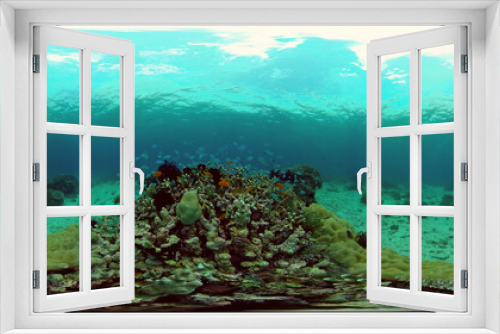 Fototapeta Naklejka Na Ścianę Okno 3D - Underwater fish garden reef. Reef coral scene. Seascape under water. Philippines. Virtual Reality 360.