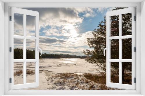 Fototapeta Naklejka Na Ścianę Okno 3D - Pine trees on the shore of a forest lake. Old dry grass under melting snow. The pond with melting ice is covered with snow. Blue sky with white clouds. Wildlife in early spring