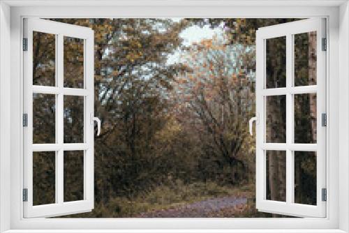 Fototapeta Naklejka Na Ścianę Okno 3D - Woodland Walk