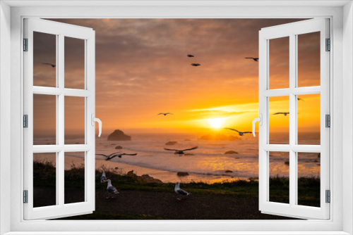 Fototapeta Naklejka Na Ścianę Okno 3D - Seagulls at sunset over Face Rock Beach in Bandon, Oregon