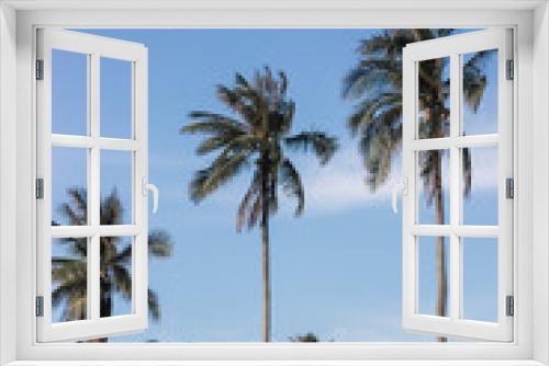 Fototapeta Naklejka Na Ścianę Okno 3D - Palm trees along the coast in Port of Soller at beautiful sunny day. Image of tropical vacation and sunny happiness. Filtered vintage photo.