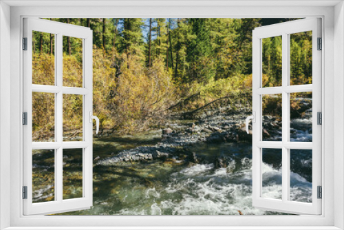 Fototapeta Naklejka Na Ścianę Okno 3D - Scenic alpine landscape with mountain river in wild autumn forest in sunshine. Vivid autumn scenery with beautiful river among trees and thickets in sunny day. Mountain brook in woods in fall time.