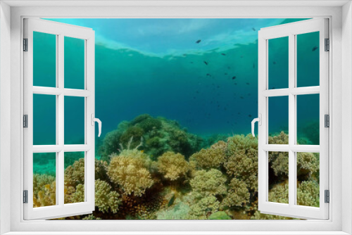 Fototapeta Naklejka Na Ścianę Okno 3D - Tropical fishes and coral reef underwater. Hard and soft corals, underwater landscape. Travel vacation concept. Philippines.