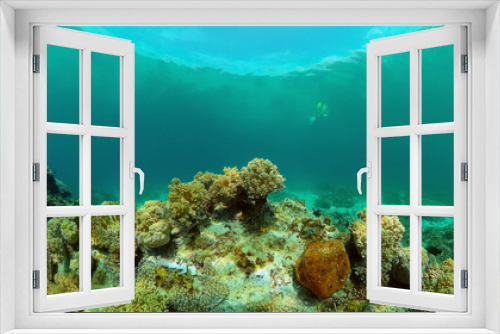 Fototapeta Naklejka Na Ścianę Okno 3D - Tropical coral reef and fishes underwater. Tropical fishes and coral reef underwater. . Travel vacation concept. Philippines.