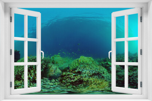 Fototapeta Naklejka Na Ścianę Okno 3D - Tropical fishes and coral reef at diving. Beautiful underwater world with corals and fish. 360 panorama VR