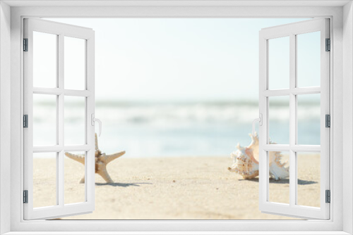 Fototapeta Naklejka Na Ścianę Okno 3D - 砂浜と貝殻