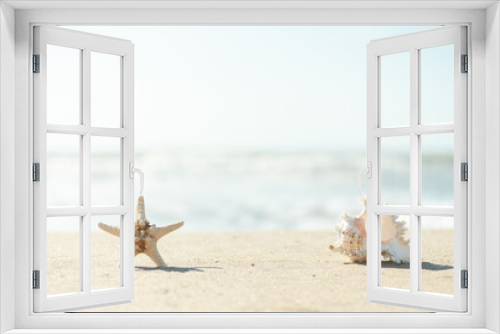 Fototapeta Naklejka Na Ścianę Okno 3D - 砂浜と貝殻