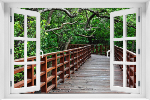 Fototapeta Naklejka Na Ścianę Okno 3D - Wooden bridge, walkway to see the natural green forest