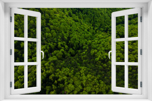 Fototapeta Naklejka Na Ścianę Okno 3D - Aerial view of dark mixed pine and lush forest with green trees canopies.