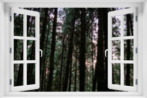 Fototapeta Naklejka Na Ścianę Okno 3D - Dark pine forest. Bottom up view of tall dark trees. Vertical photo