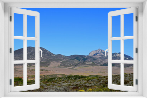 Fototapeta Naklejka Na Ścianę Okno 3D - Elfin Forest in Morro Bay, CA.