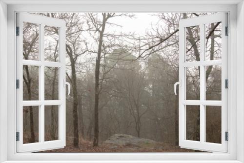 Fototapeta Naklejka Na Ścianę Okno 3D - fog in the woods