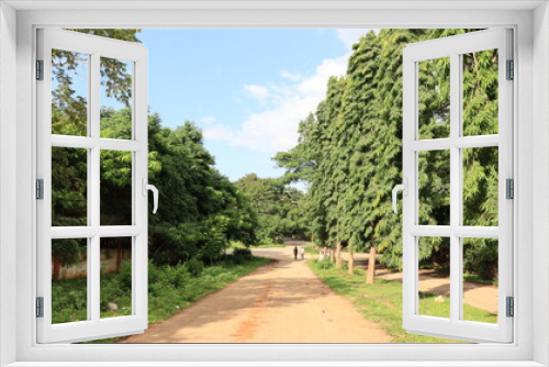 Fototapeta Naklejka Na Ścianę Okno 3D - Trees on road side At HMT factory Bangalore landscape background