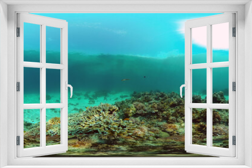 Fototapeta Naklejka Na Ścianę Okno 3D - Underwater fish garden reef. Reef coral scene. Coral garden seascape. Philippines. 360 panorama VR