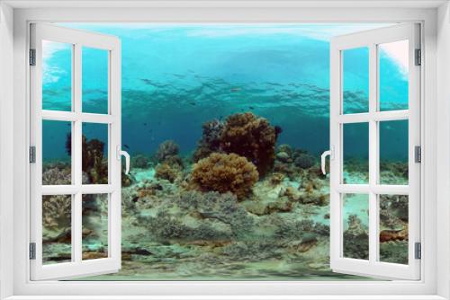 Fototapeta Naklejka Na Ścianę Okno 3D - Beautiful underwater landscape with tropical fish and corals. Philippines. 360 panorama VR