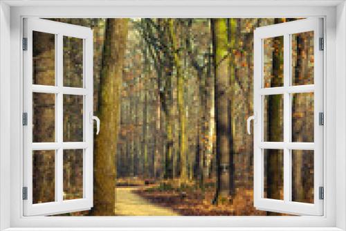 Fototapeta Naklejka Na Ścianę Okno 3D - droga w lesie