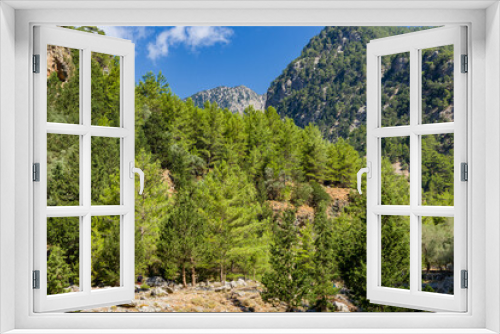 Fototapeta Naklejka Na Ścianę Okno 3D - Beautiful pine trees and towering cliffs in a huge natural canyon (Samaria Gorge, Crete, Greece)