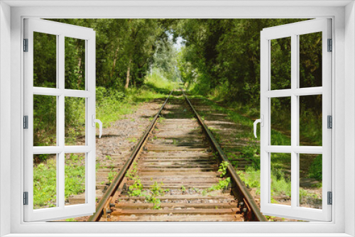 Fototapeta Naklejka Na Ścianę Okno 3D - Vintage abandoned rails leading through the forest