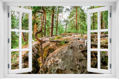 Fototapeta Naklejka Na Ścianę Okno 3D - Wild forest with huge stones covered with moss, a mystical natural landscape of northern nature