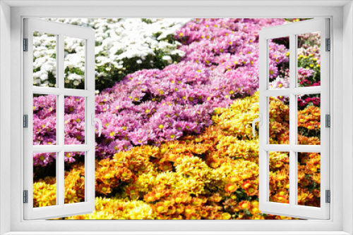 Fototapeta Naklejka Na Ścianę Okno 3D - Many garden flowers,Floral background,Bunch of flowers,wedding bouquet with rose bush, Ranunculus asiaticus as a background.