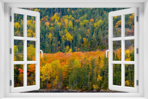 Fototapeta Naklejka Na Ścianę Okno 3D - Pine trees and perfect autumn colors surround a small Beaver Pond