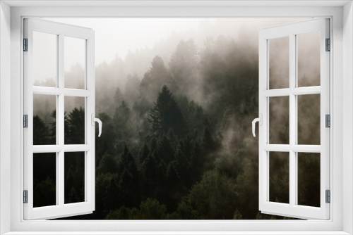 Fototapeta Naklejka Na Ścianę Okno 3D - Krajobraz leśny wierzchołki drzew las we mgle	
