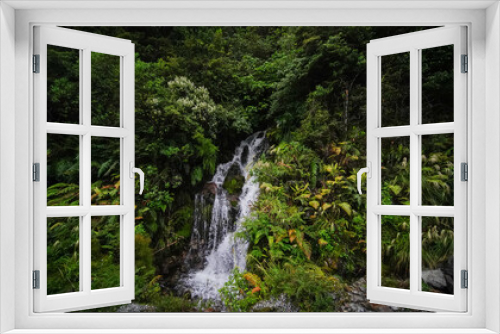 Fototapeta Naklejka Na Ścianę Okno 3D - forest garden wild nature trees plants moss jungle