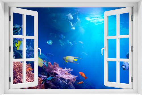 Fototapeta Naklejka Na Ścianę Okno 3D - Animals of the underwater tropical world. Panoramic view of the coral reef. Colorful tropical fish. Ecosystem.