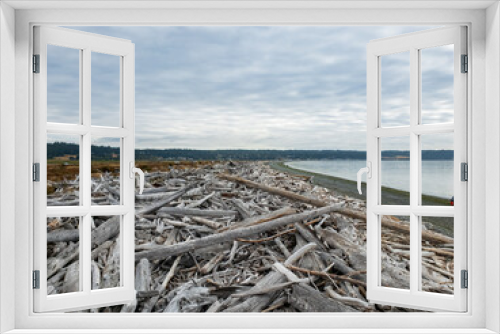 Fototapeta Naklejka Na Ścianę Okno 3D - Driftwood piled up along a stretch of beach