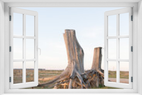 Fototapeta Naklejka Na Ścianę Okno 3D - Ruinas de Epecuén
