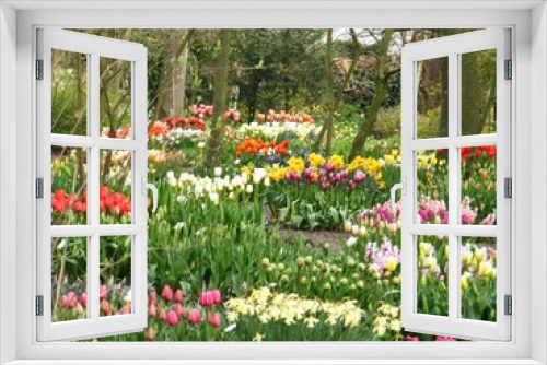 Fototapeta Naklejka Na Ścianę Okno 3D - field of tulips