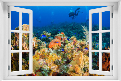 Fototapeta Naklejka Na Ścianę Okno 3D - Scuba diving in a coral reef (Grand Cayman, Cayman Islands)