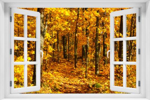 Fototapeta Naklejka Na Ścianę Okno 3D - Autumn forest, path winding under the colorful maple trees